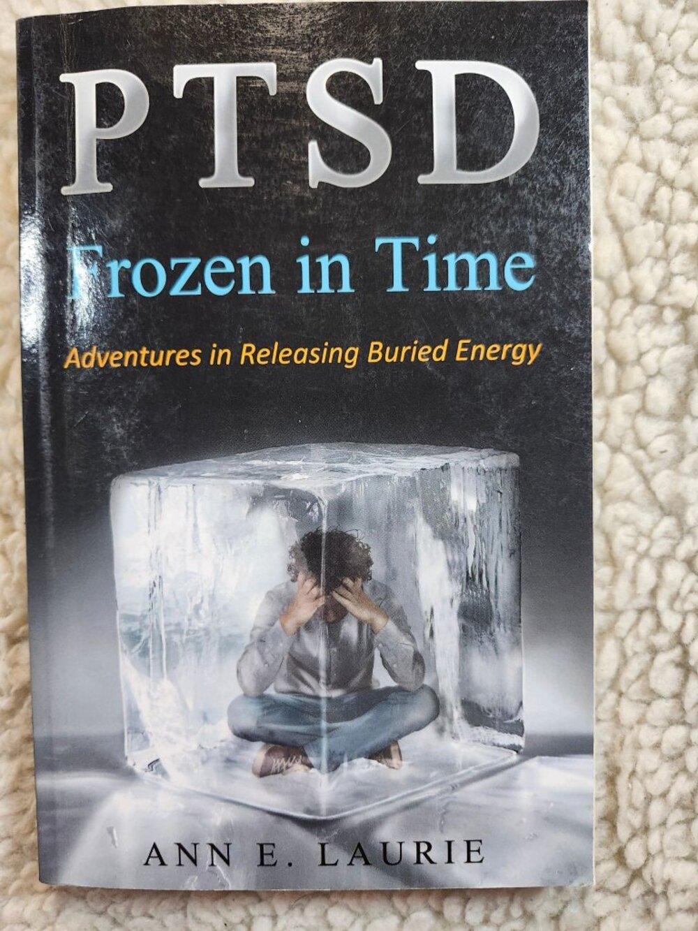 PTSD Frozen in Time Ann E. Laurie Paperback PTSD Memoir Mental Health Healing